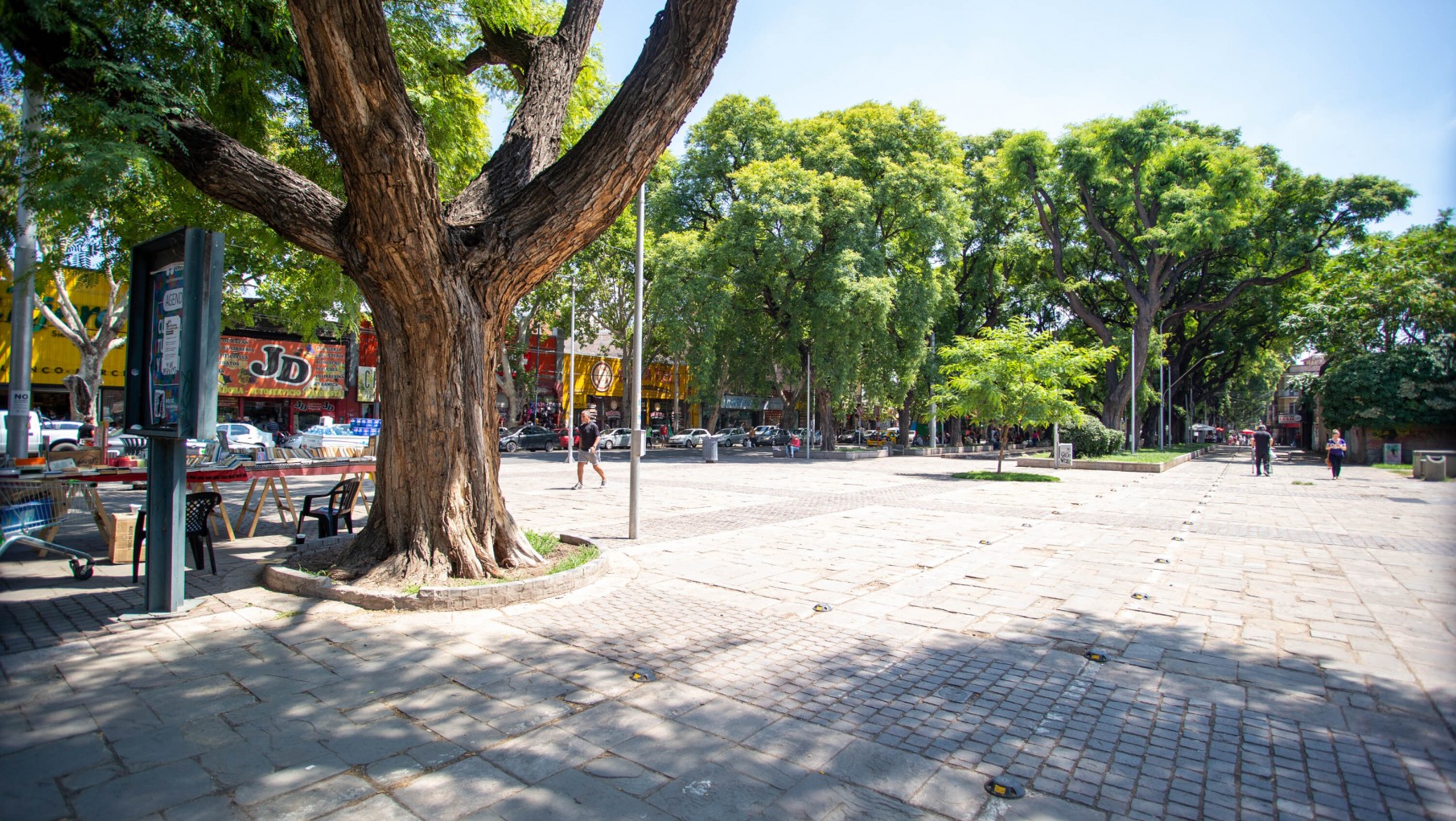 Se presentaron los primeros avances en el proyecto de la puesta en valor de la Alameda